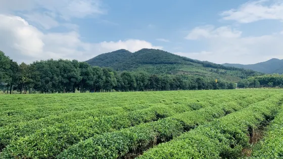 龍池山