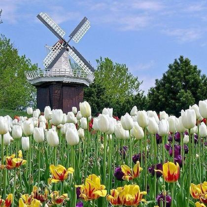 荷兰+比利时+德国10日8晚私家团