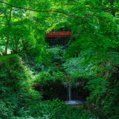 日本名古屋+三重县伊势市+鸟羽市+高山市+白川乡5日4晚拼小团