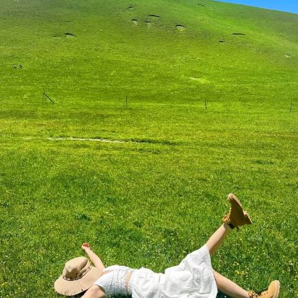 乌兰察布+乌兰哈达火山地质公园+辉腾锡勒草原4日3晚私家团