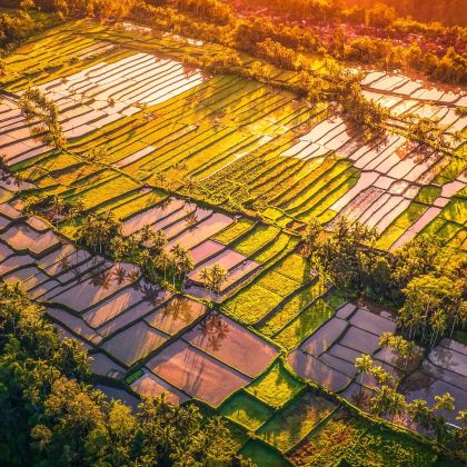 印度尼西亚巴厘岛7日6晚私家团