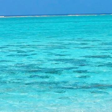 三亚+西沙群岛+三沙4日3晚跟团游