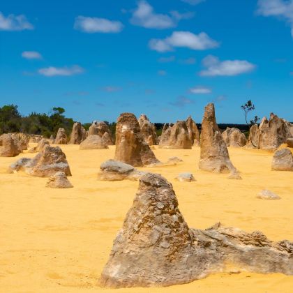 澳大利亚珀斯+罗特尼斯岛+兰斯林白沙丘+赫特泻湖+尖峰石阵+Thirsty Point lookout+朱里恩湾+曼哲拉游船+怪树6日5晚私家团