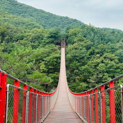 韩国首尔+都罗展望台5日4晚私家团