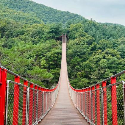 韩国首尔+都罗展望台5日4晚私家团