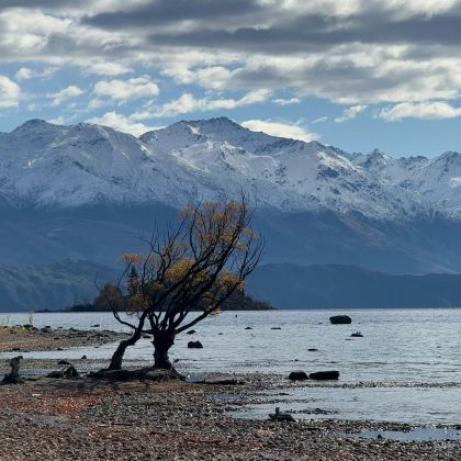 新西兰北岛+南岛11日9晚私家团