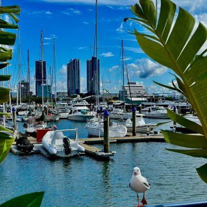 澳大利亚悉尼+墨尔本10日9晚自由行