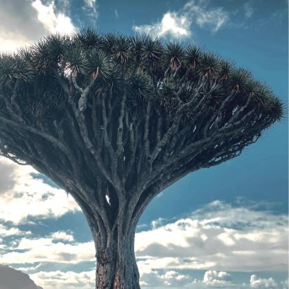 西班牙马德里+巴塞罗那+塞维利亚+特内里费岛11日10晚私家团