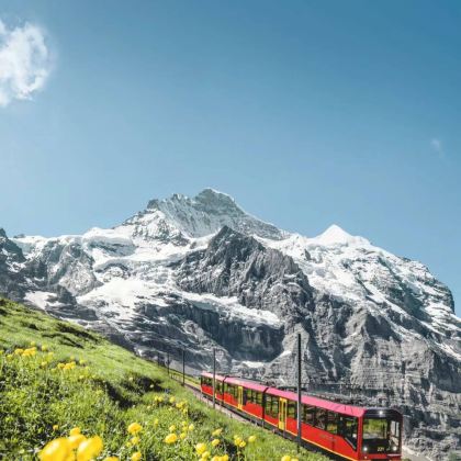 法国+瑞士+意大利11日跟团游