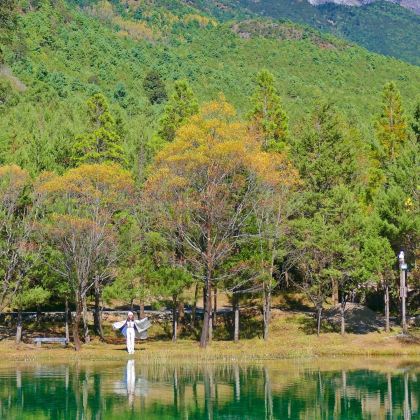 云南昆明+大理市+丽江+香格里拉+西双版纳10日9晚跟团游