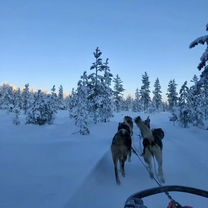 芬兰7日6晚拼小团