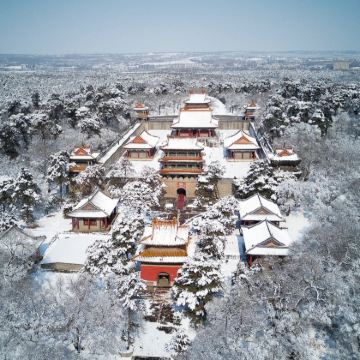 沈阳+哈尔滨4日3晚拼小团