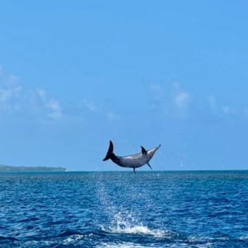 毛里求斯7日6晚私家团
