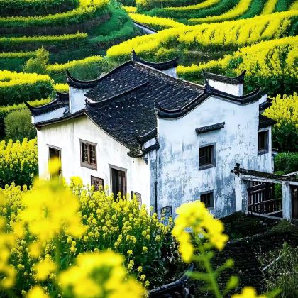 江西婺源+景德镇5日4晚私家团