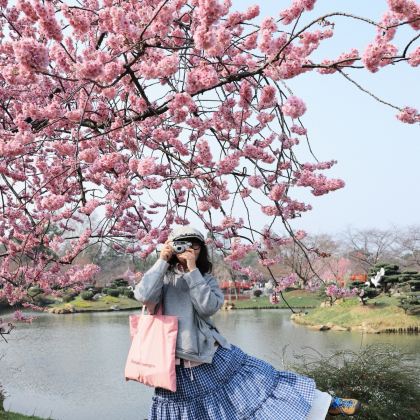 武汉4日3晚跟团游