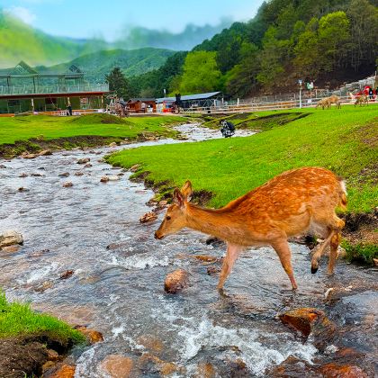 哈尔滨+伊春6日5晚私家团