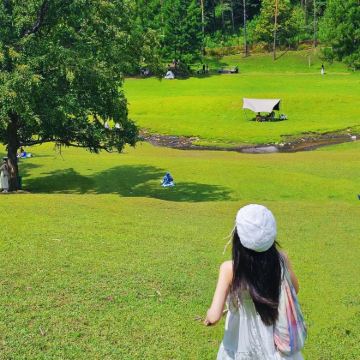 哈尔滨+漠河+北红村+北极村6日5晚私家团