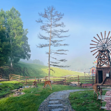 哈尔滨+伊春+五大连池市6日5晚跟团游