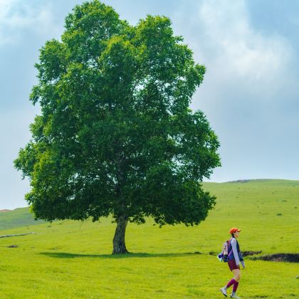 赤峰+乌兰布统旅游区5日4晚私家团
