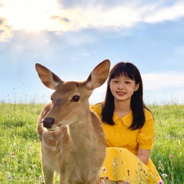 伊春5日4晚私家团