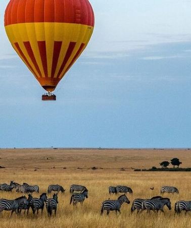 3D2N • 3-Day Masai Mara Safari Tour