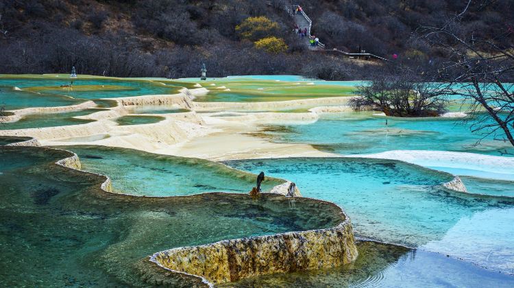 6D5N · Private Tours · Jiuzhaigou + Huanglong+ Panda Valley + Dujiangyan + Mt. Siguniang - Summer Escape - Airport Transfer included - Free Time in Chengdu