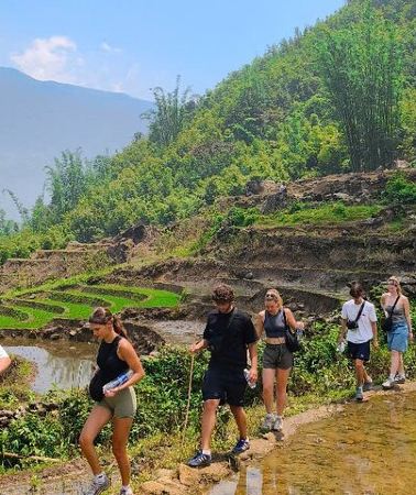 2D1N • SAPA: 2 DAYS Walking & 1 night at Homestay with LOCAL GUIDE
