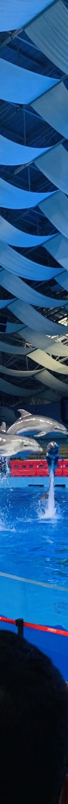 合肥海洋世界-合肥