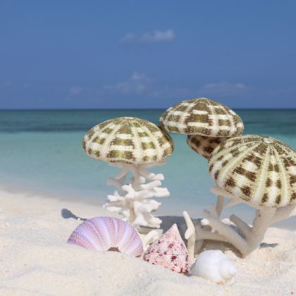 海口+三亚+西沙群岛8日7晚跟团游