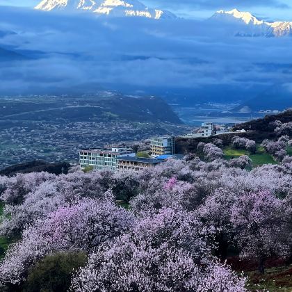 林芝+苯日景区+雅鲁藏布大峡谷+鲁朗林海+卡定沟景区+巴松措+措木及日4日3晚私家团