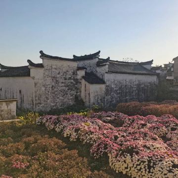 浙江金华双龙洞+游埠古镇+诸葛八卦村景区+大慈岩风景区+武义温泉度假区+郭洞古生态村3日2晚私家团