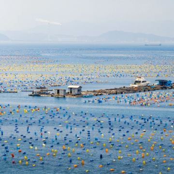 广东汕头+南澳岛+潮州古城+潮汕地区4日3晚跟团游