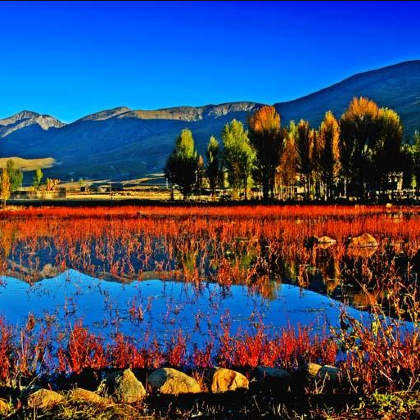 稻城亚丁+四姑娘山+九寨沟风景区+黄龙风景名胜区10日9晚跟团游