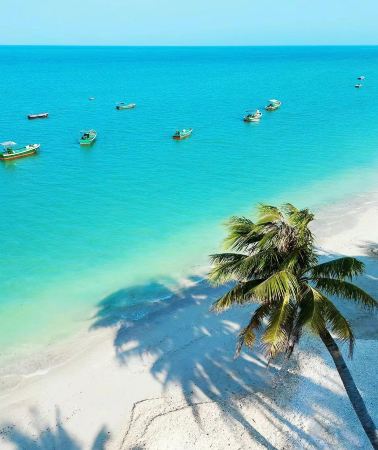 5D4N • Hainan   Star-rated hotels   4-Day Private Car Charter with Popular Attractions Optional Shenzhou Lighthouse, Sanya surfing, viral Houhai Village Airport transfers   Worry-free  reliable   