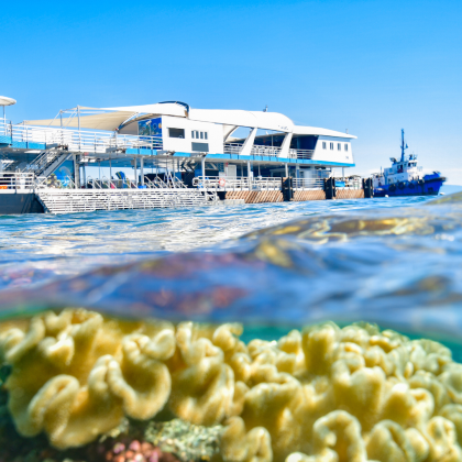 澳大利亚11日跟团游