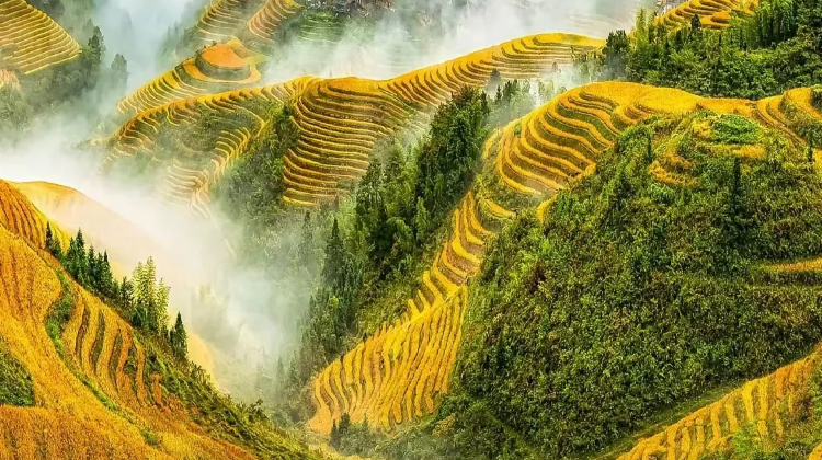 6D5N · Group Tours · Emperor Voyage: 'All Tips Included' China+ Guilin + Yangshuo + Li River Scenic Area +Longji Rice Terraces 