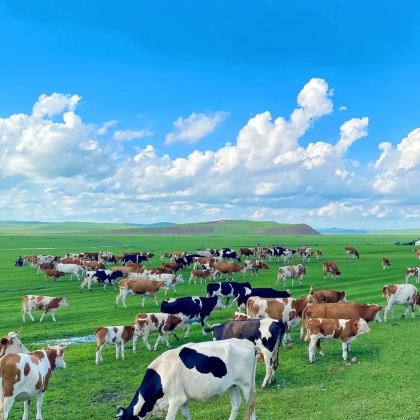 呼伦贝尔+额尔古纳+满洲里6日5晚私家团