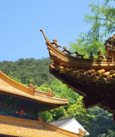 3天2晚 • 溪口滕頭旅遊風景區「雪竇山-蔣氏故居」「普陀山風景區」寧波 3 天 2 夜跟團遊