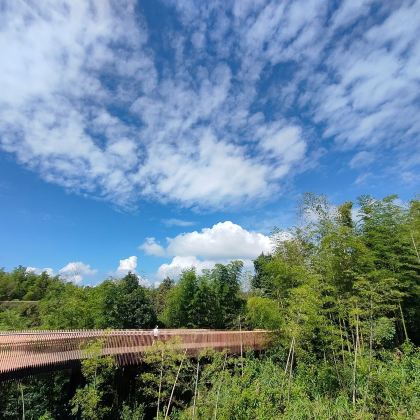 四川宜宾蜀南竹海2日1晚跟团游