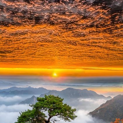 巴中+南江+光雾山旅游景区+米仓山国家森林公园+十八月潭景区+恩阳古镇5日4晚私家团