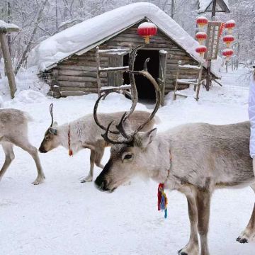 长白山+延吉5日4晚私家团