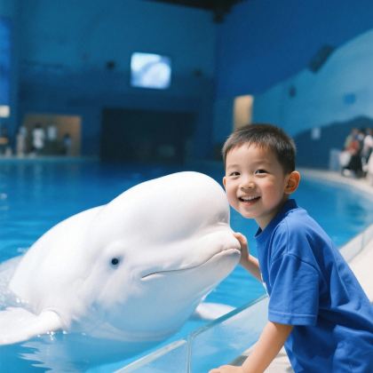 珠海+长隆5日4晚自由行