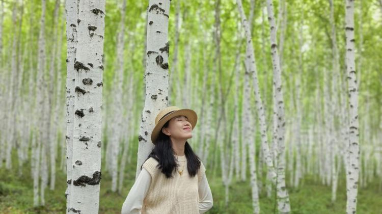 8-Day Harbin + Changbai Mountain + Yanji + Mohe + Arctic village