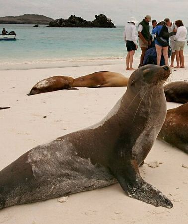5D4N • 5 Days Tour to Explore Santa Cruz ,Isabela and Santa Fe Galapagos