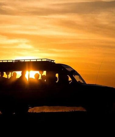 2D1N • (2 Days, 1 Night) Day & Night Game Drive Tsavo East National Park