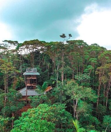 3D2N • Relax in the Amazon for 3 Full Days All inclusive From Quito