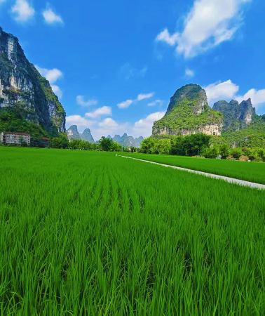 10D9N • Nanning, Guangxi + Tongling Canyon + Detian Waterfall + Weizhou Island + Beihai + Huangguoshu Scenic Area, Guizhou + Libo + Xijiang Qianhu Miao Village