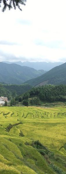 欧家梯田-连山
