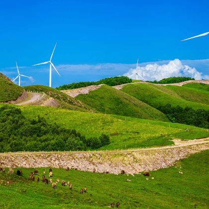 张家口+草原天路+皇家鹿苑湿地公园+大境门景区3日2晚私家团