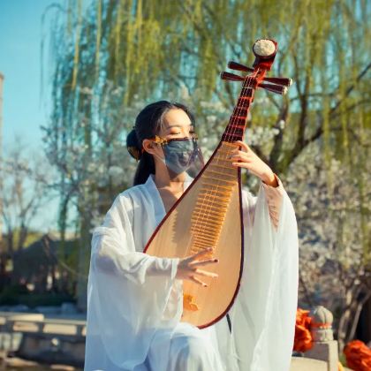 河南洛阳+老君山景区+郑州+安阳殷墟博物馆+红旗渠8日7晚私家团